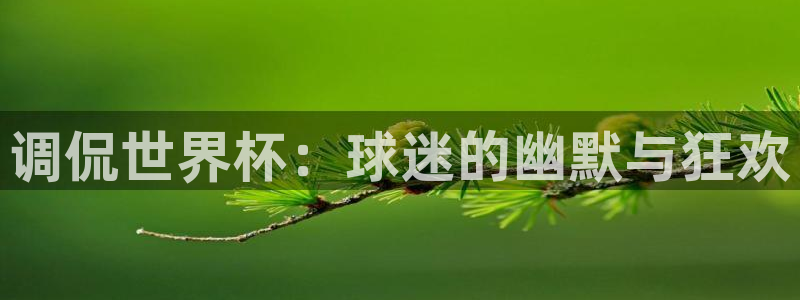 世界杯球赛：调侃世界杯：球迷的幽默与狂欢