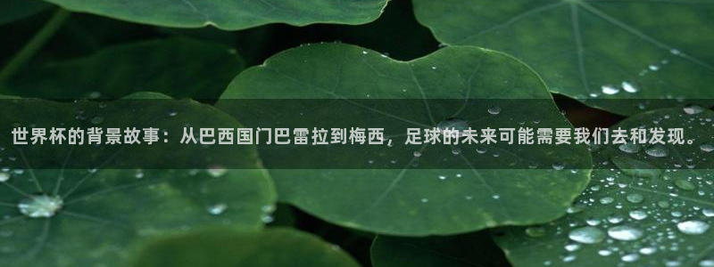 2026世界杯对阵图：世界杯的背景故事：从巴西国门巴雷拉到梅西，足球的未来可能需要我们去和发现。