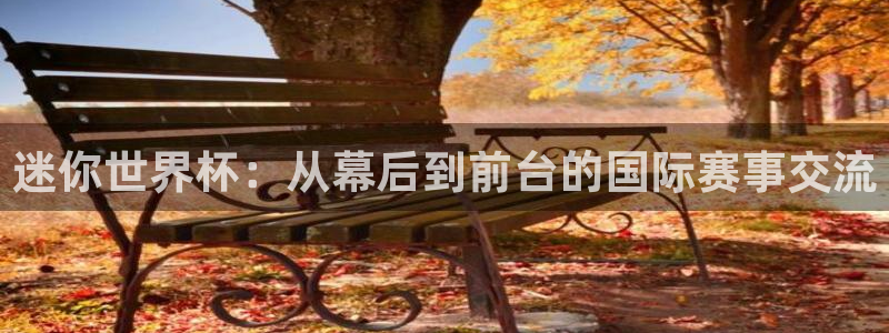 世界杯欧洲区赛程：迷你世界杯：从幕后到前台的国际赛事交流