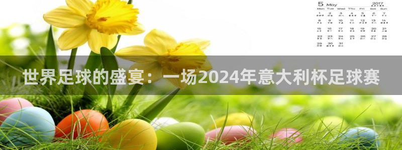 2026世亚预赛赛程表：世界足球的盛宴：一场2024年意大利杯足球赛