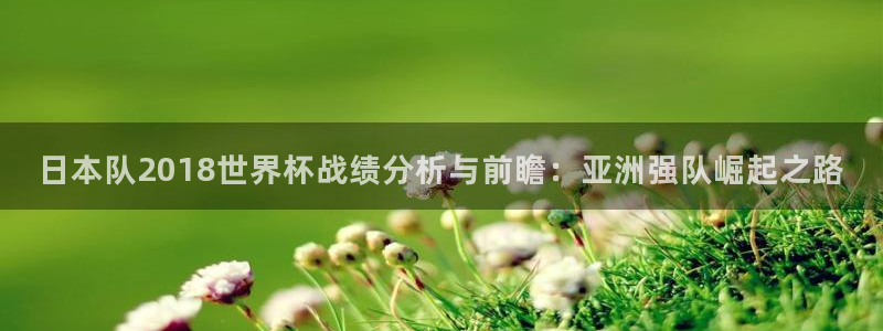 2026世界杯：日本队2018世界杯战绩分析与前瞻：亚洲强队崛起之路