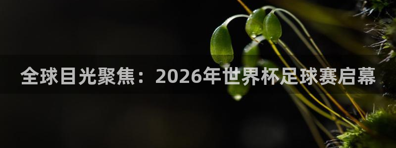 男足世界杯预选赛赛程：全球目光聚焦：2026年世界杯足球赛启幕