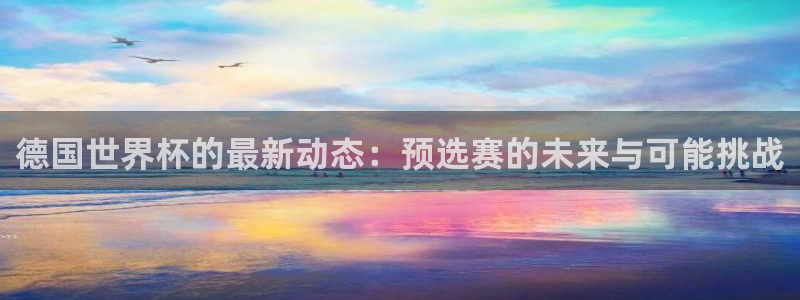 世界杯直播免费观看：德国世界杯的最新动态：预选赛的未来与可能挑战