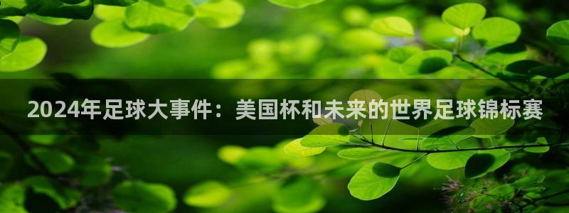 世界杯直播高清：2024年足球大事件：美国杯和未来的世界足球锦标赛