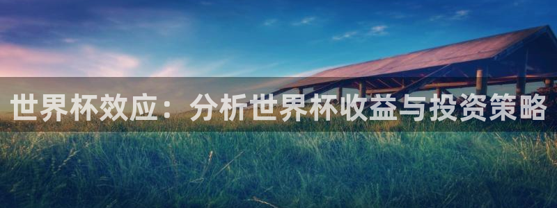 世界杯预选赛欧洲赛区积分榜：世界杯效应：分析世界杯收益与投资策略
