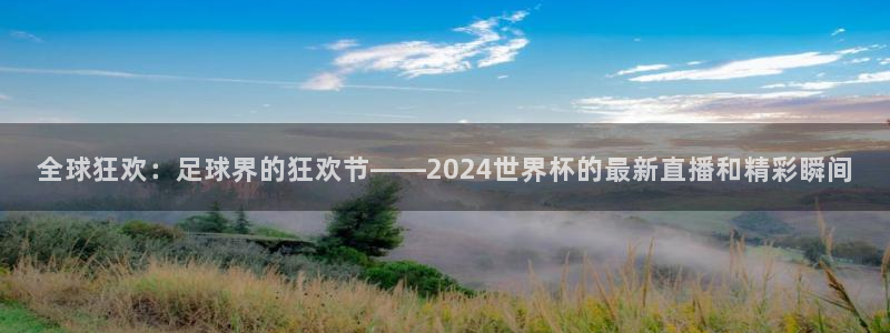 世界杯足球赛2026：全球狂欢：足球界的狂欢节——2024世界杯的最新直播和精彩瞬间