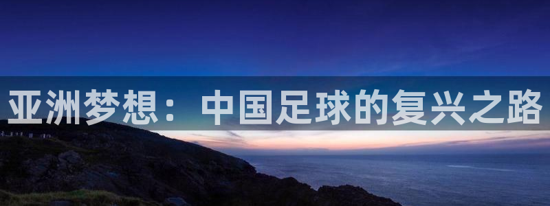 世界杯 直播：亚洲梦想：中国足球的复兴之路