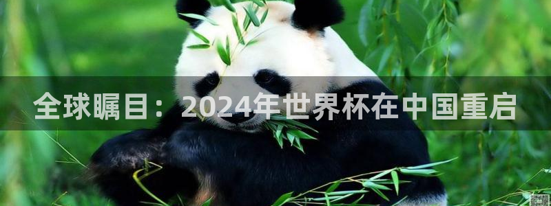 世预赛赛程表:全球瞩目:2024年世界杯在中国重启