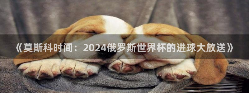 世界杯亚洲区预选赛：《莫斯科时间：2024俄罗斯世界杯的进球大放送》