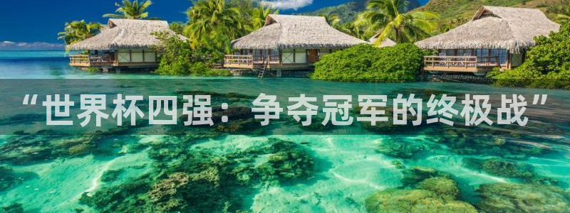 2026年世界杯赛程：“世界杯四强：争夺冠军的终极战”