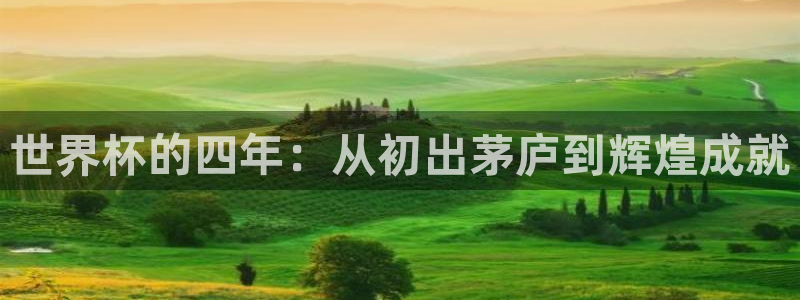 世界杯2026赛程时间表格：世界杯的四年：从初出茅庐到辉煌成就