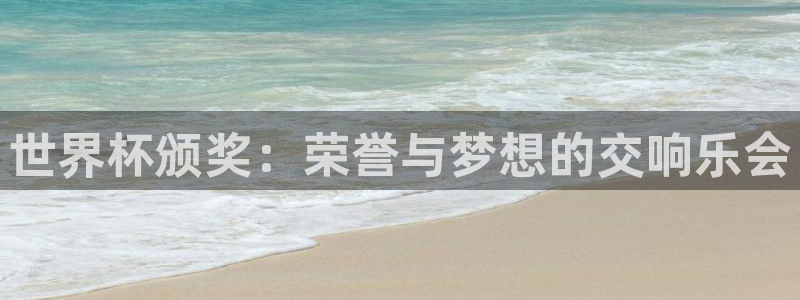 世界杯：世界杯颁奖：荣誉与梦想的交响乐会
