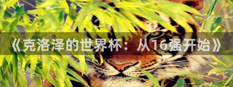 世界杯第一场比赛：《克洛泽的世界杯：从16强开始》